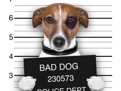 “Thunder From Down Under” Male Strip Dancers Subdue Gunman at Las Vegas Casino